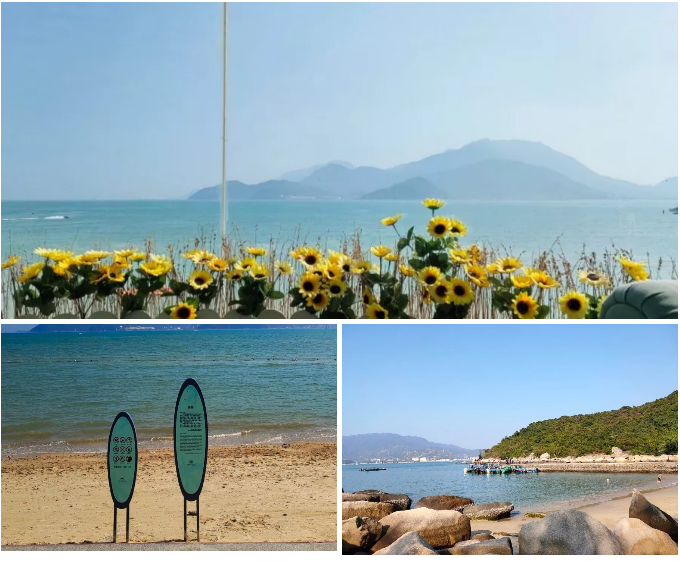 5f83f65d5922f.png 5f83f65d5922f.png