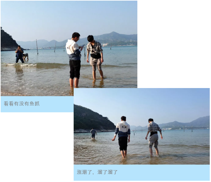 5f83f67e9bf9a.png 5f83f67e9bf9a.png