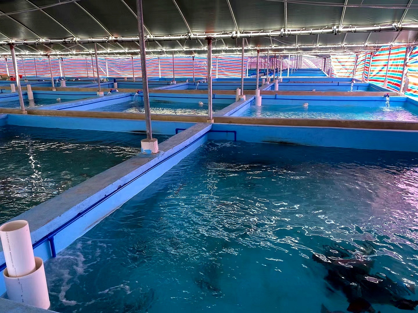 太阳成集团tyc9728